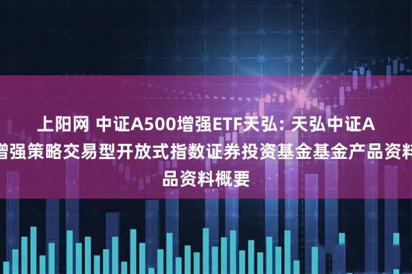 上阳网 中证A500增强ETF天弘: 天弘中证A500增强策略交易型开放式指数证券投资基金基金产品资料概要