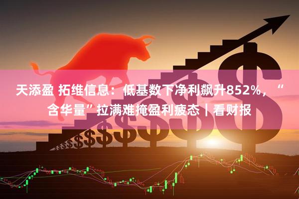 天添盈 拓维信息:低基数下净利飙升852%,“含华量”拉满难掩盈利疲态|看财报