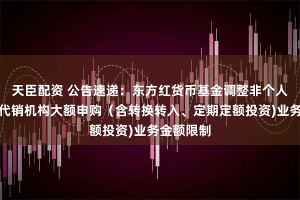天臣配资 公告速递：东方红货币基金调整非个人投资者在代销机构大额申购（含转换转入、定期定额投资)业务金额限制