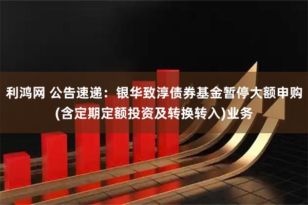 利鸿网 公告速递：银华致淳债券基金暂停大额申购(含定期定额投资及转换转入)业务