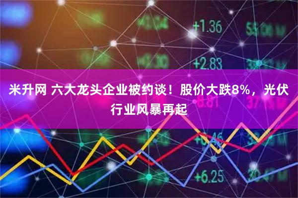 米升网 六大龙头企业被约谈！股价大跌8%，光伏行业风暴再起